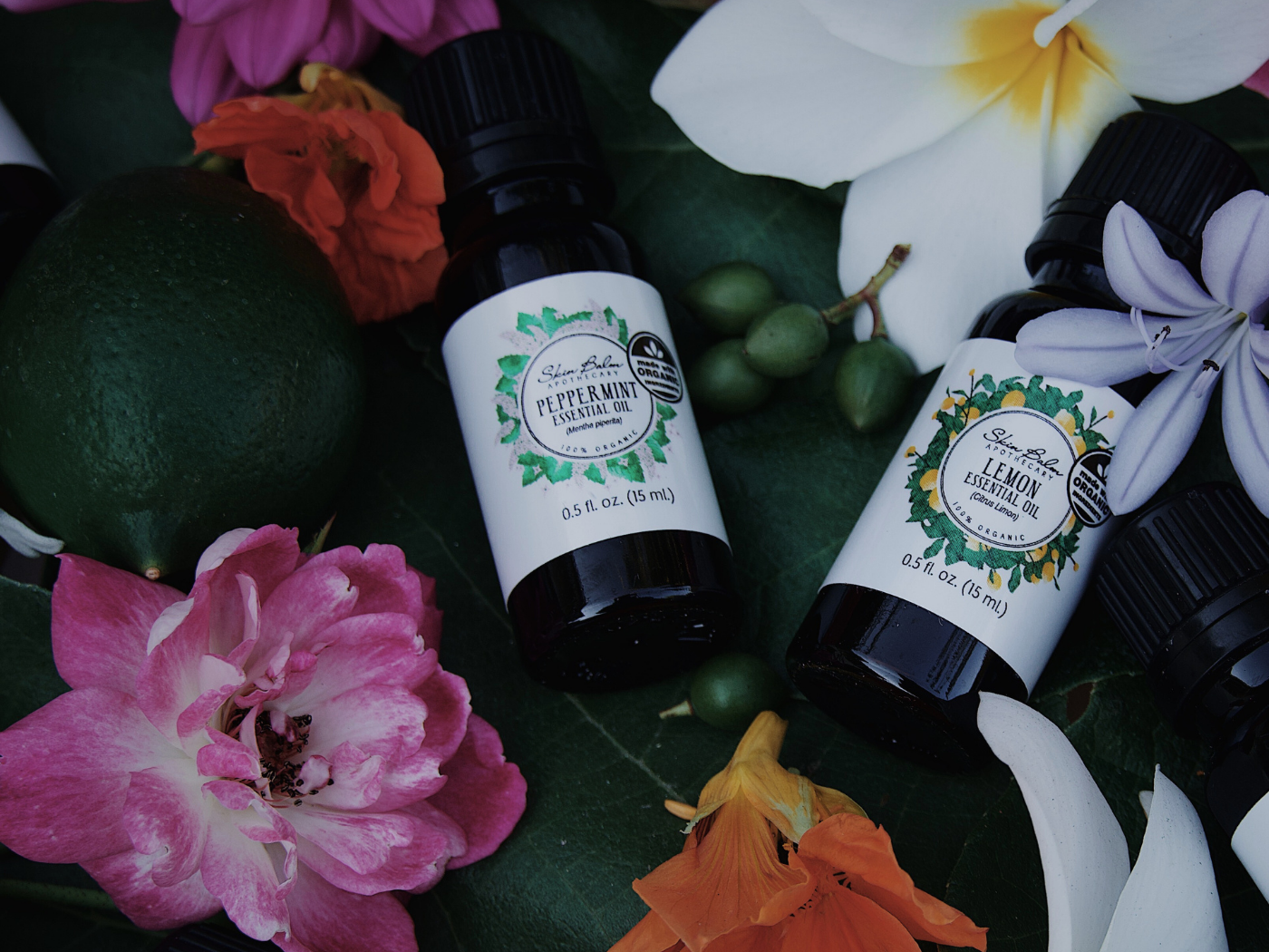 DIY Swiffer Solution (Non-Toxic & All Natural!)